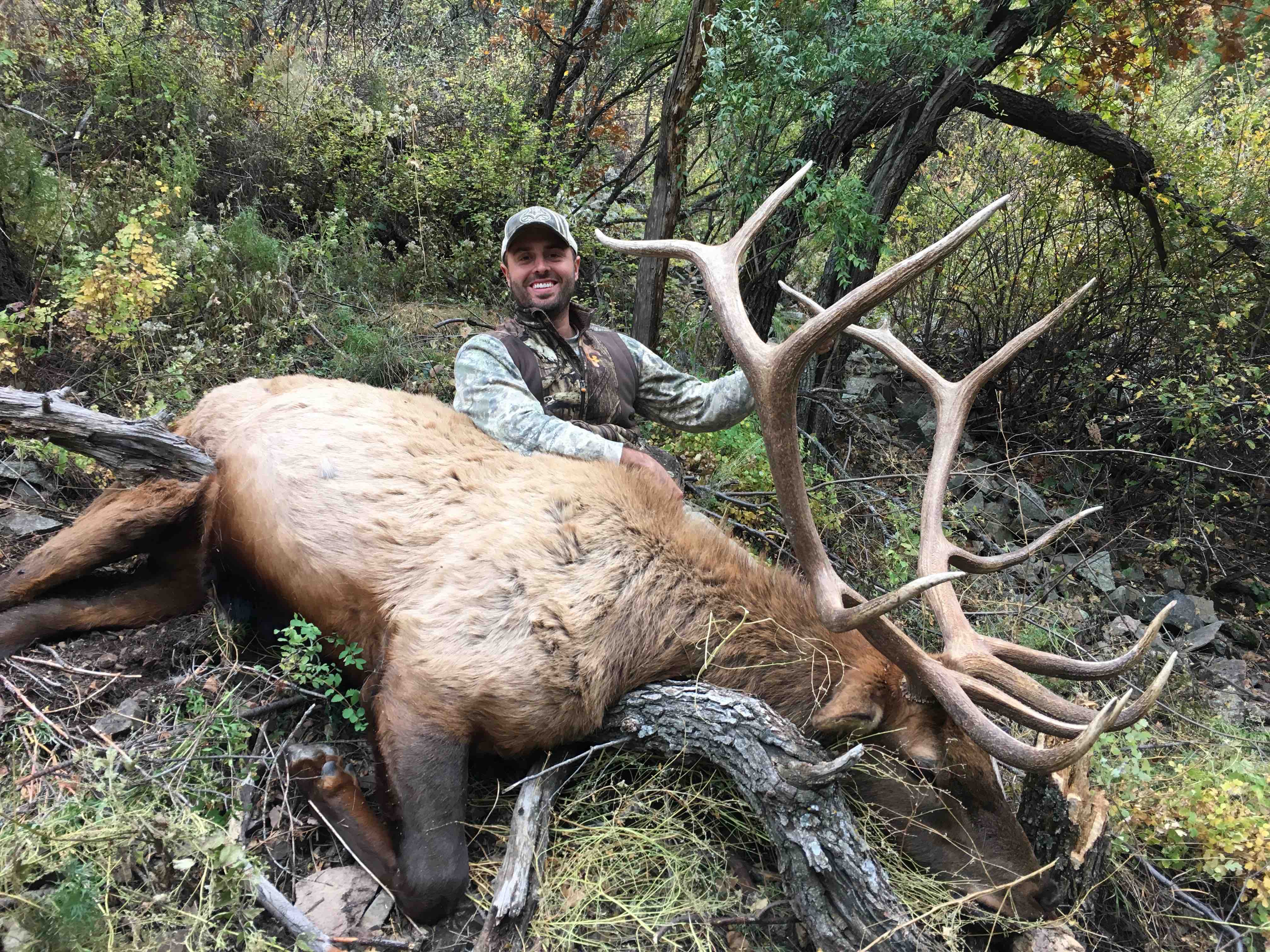 Outdoor Adventures Worldwide Southern New Mexico Elk